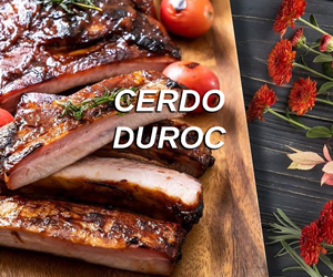 CERDO-DUROC